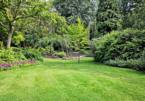 Optimiser l'expérience du jardin à Brenon